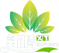TIANJIN XINTENG